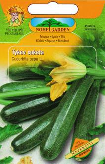 Cuketa ,Nefertiti,/Cucurbita pepo L.