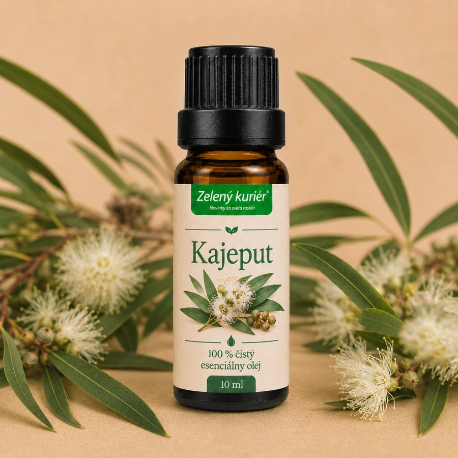 Kajeput (Cajeput) – 100 % čistý esenciálny olej, 10 ml