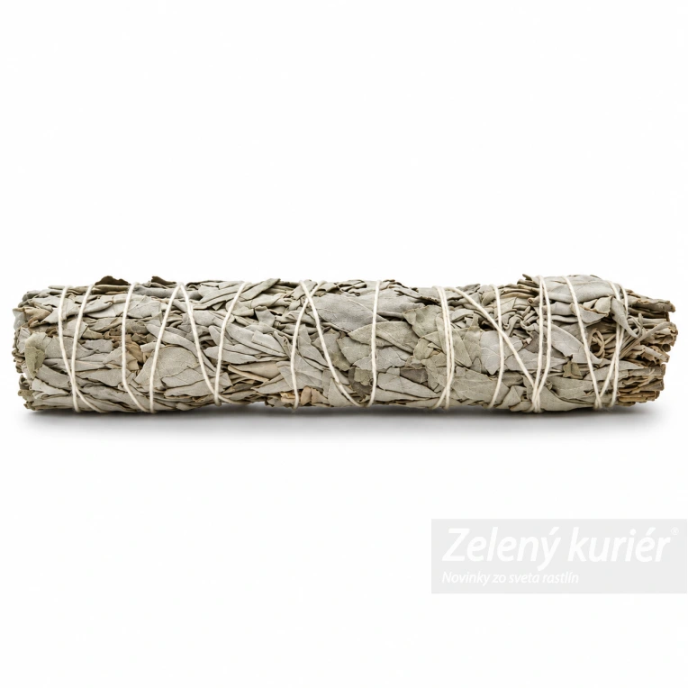 Biela šalvia – vykurovací zväzok 22,5 cm