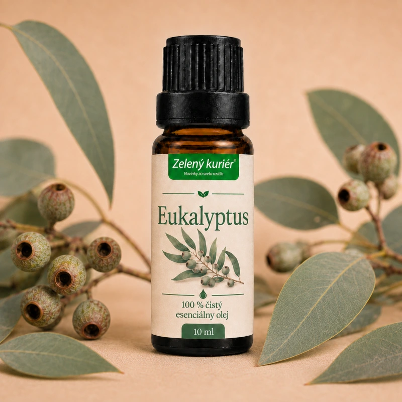 Eukalyptus – 100 % čistý esenciálny olej, 10 ml