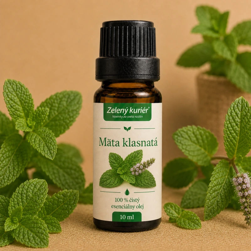 Mäta klasnatá (Spearmint) – 100 % čistý esenciálny olej, 10 ml