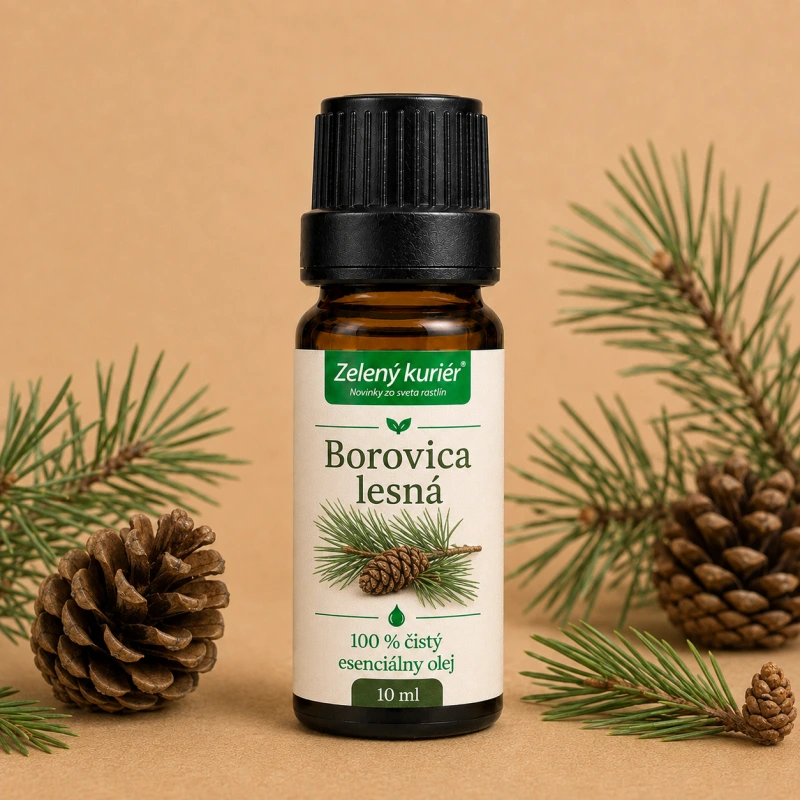 Borovica lesná – 100 % čistý esenciálny olej, 10 ml