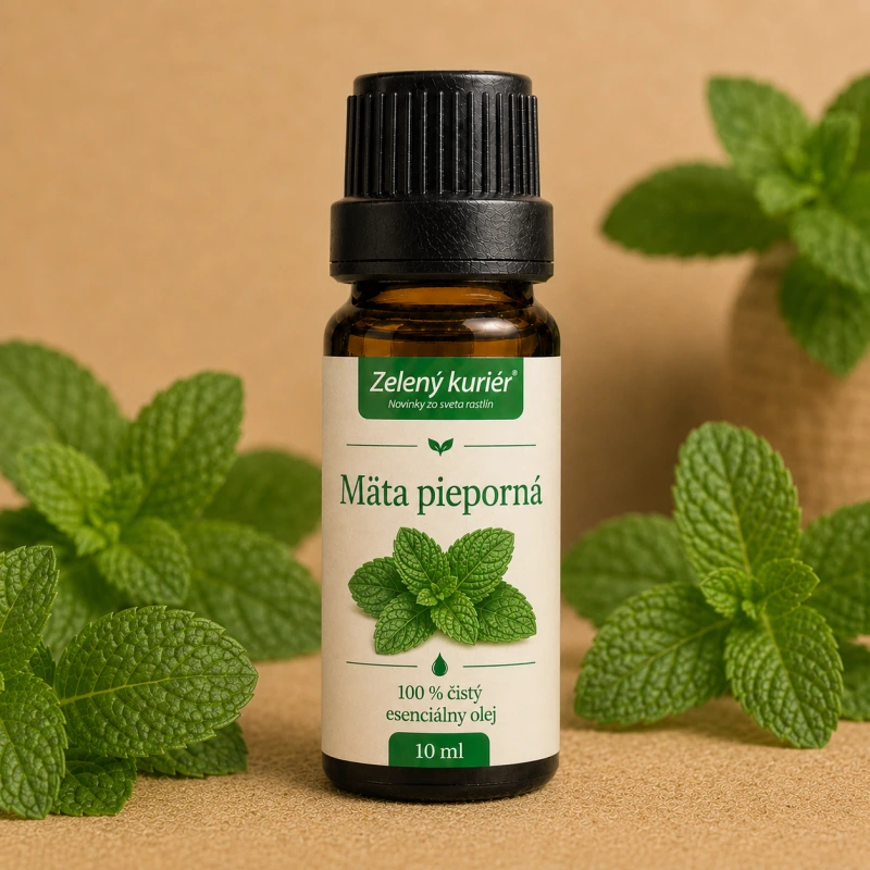 Mäta pieporná – 100 % čistý esenciálny olej, 10 ml