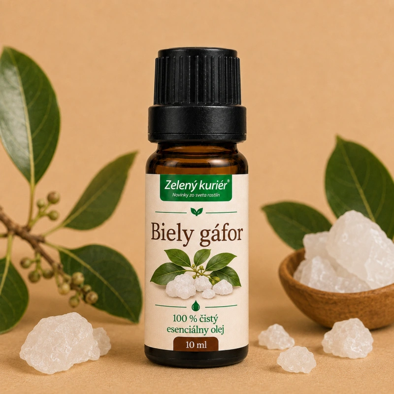 Biely gáfor (White Camphor) – 100 % čistý esenciálny olej, 10 ml