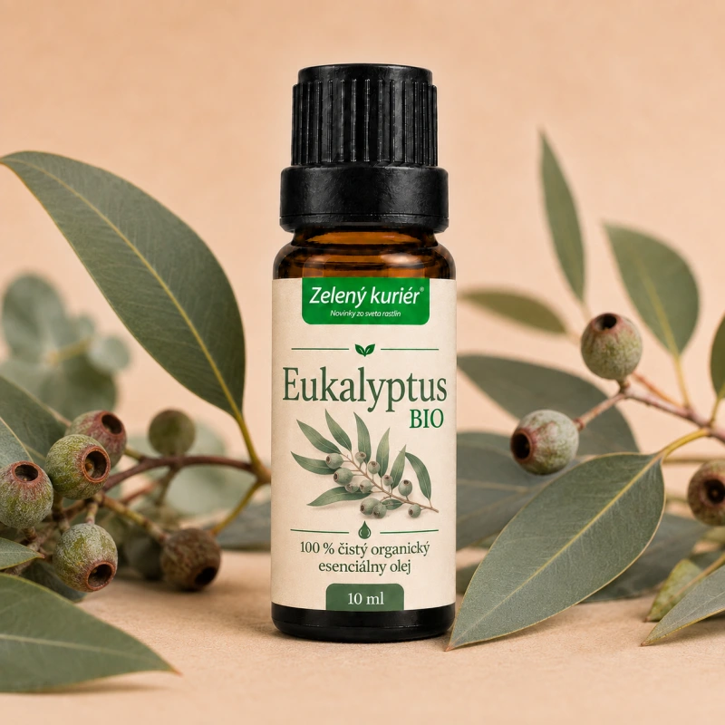 Eukalyptus BIO – 100 % čistý organický esenciálny olej, 10 ml