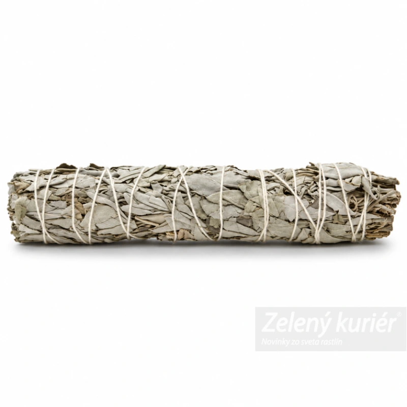 Biela šalvia – vykurovací zväzok 22,5 cm