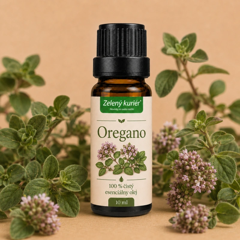 Oregano – 100 % čistý esenciálny olej, 10 ml