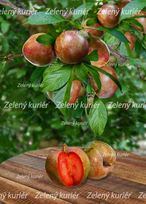 Marhuľoslivka, Flavor Supreme,