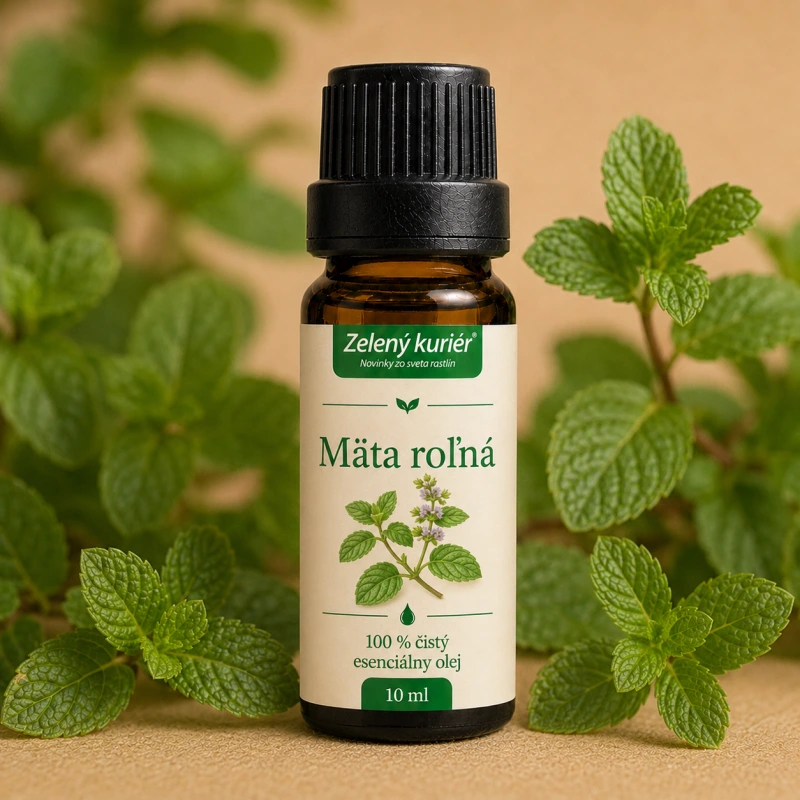Mäta roľná (Cornmint) – 100 % čistý esenciálny olej, 10 ml