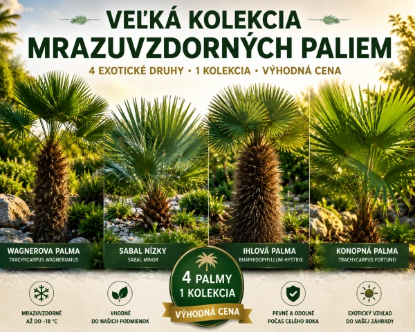 Veľká kolekcia mrazuvzdorných paliem