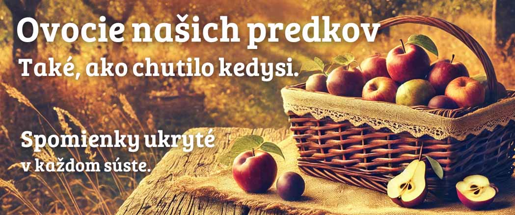 Ovocie našich predkov. Také, ako chutilo kedysi.